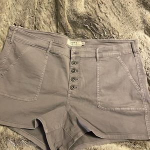 Torrid shorts